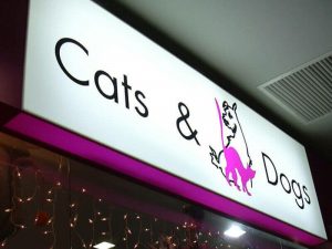 От тени к вниманию: как лайтбокс работает на вас, когда солнце уже село